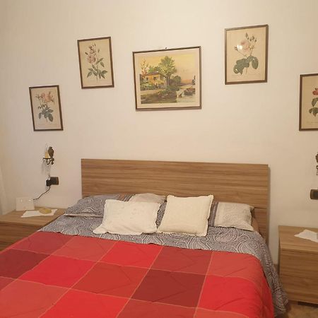 Casa Vacanze Alice E Arianna 卡伊罗蒙泰诺泰 外观 照片